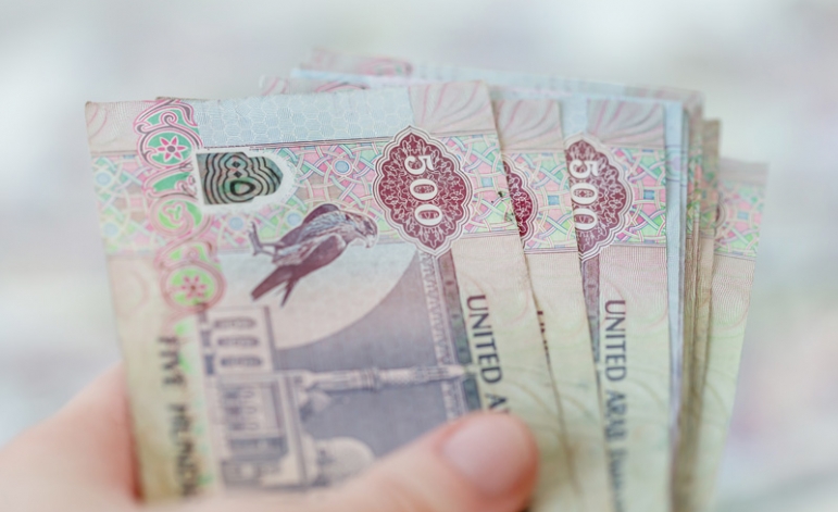 The Wage Protection System (WPS) – Application Guidelines